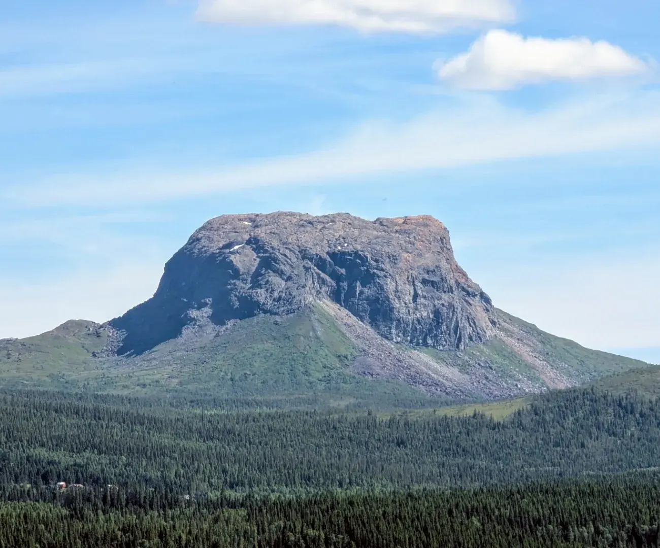 Fjellet Hatten i Hattfjelldal, en flat og bratt fjelltopp som reiser seg over tett granskog